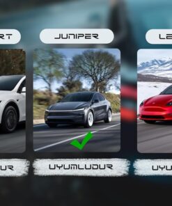 Alternative view of Model Y 3D Bagaj Alt Havuzu