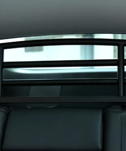 Model Y Köpek Barı