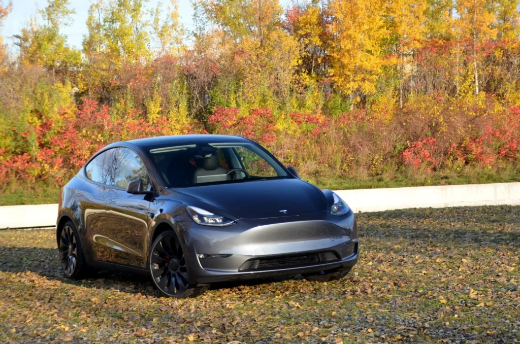 Tesla Model Y 3D paspas seti sonbahar kullanımı Tesla’da yağmur kaydırıcı ile net görüş tesla sonbahar, tesla model y, Tesla’nızı sonbahara hazırlamak