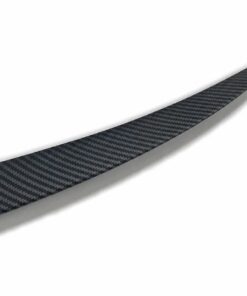 Model Y Spoiler