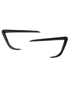 Model Y Sis Farı Çerçevesi